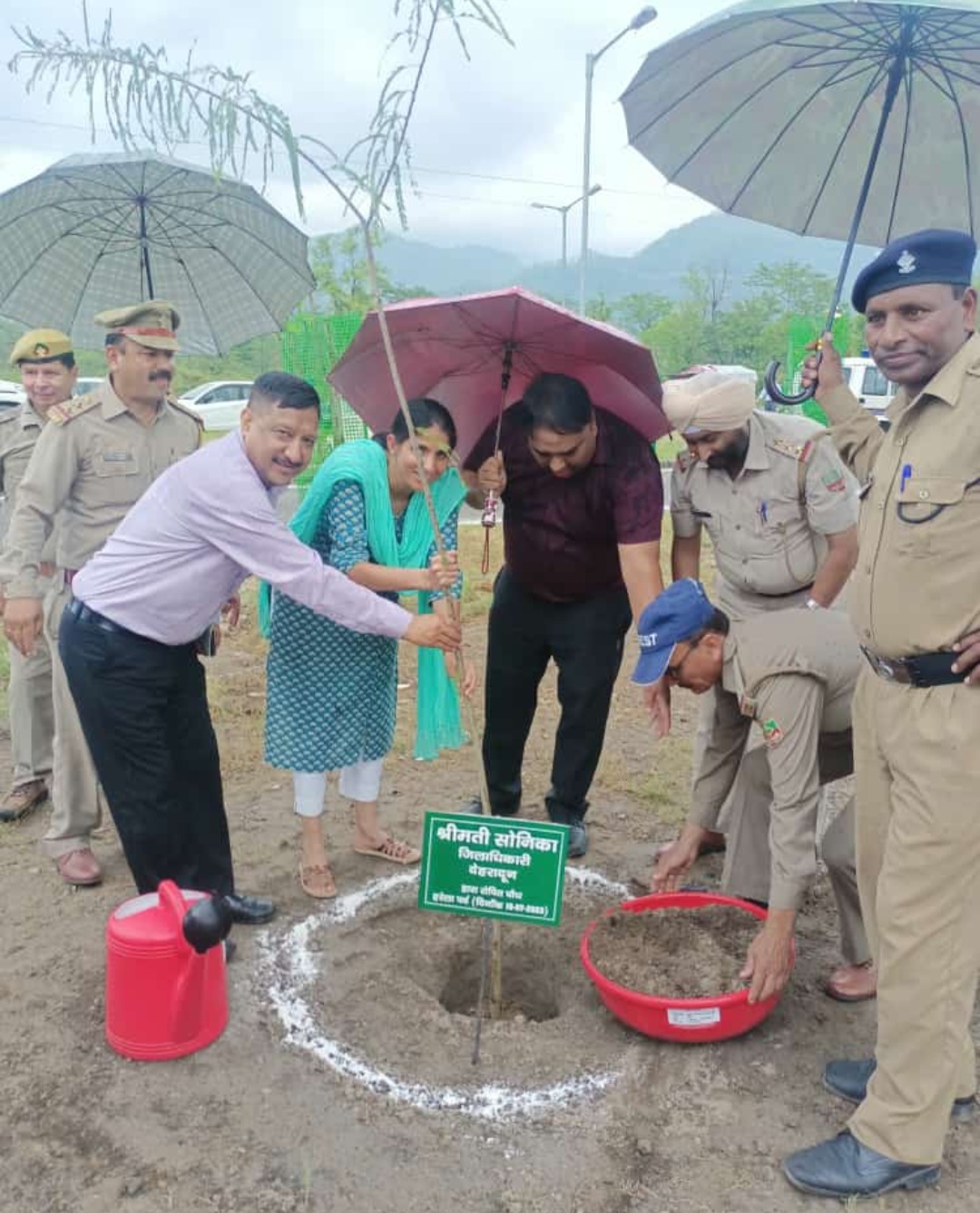 DM Sonika celebrates Harela festival by planting saplings