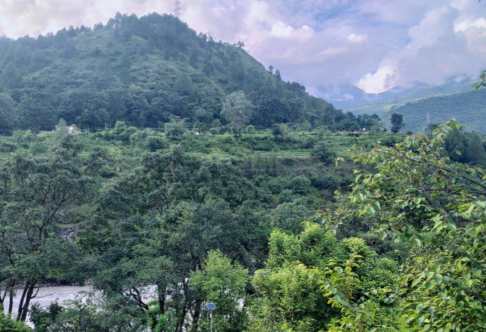 Harela 2026: Dehradun Targets 1.55 Million Saplings to Boost Eco-Tourism and Quality Forests